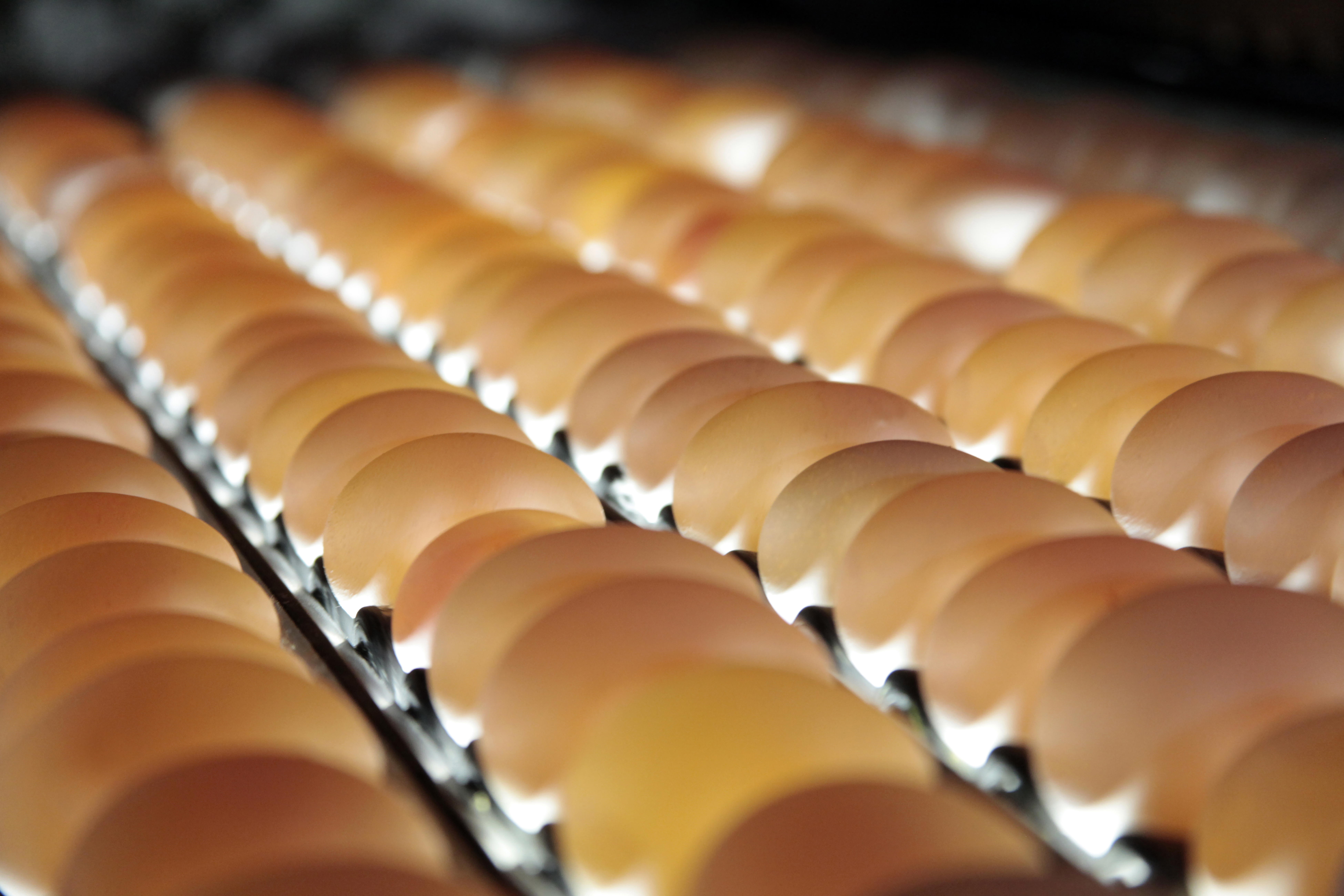 Poultry processing floor